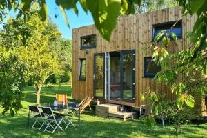 Le petit nid des Mésanges - Bollezeele