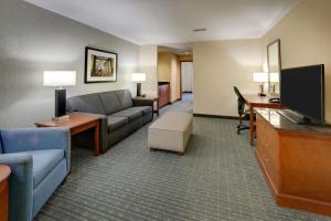 Deluxe King Suite room in Drury Inn & Suites Grand Rapids