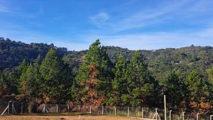 Chalé Luz do Luar Romantismo e uma linda vista