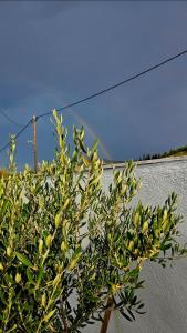 Grace and Harmony of Ancient Corinth