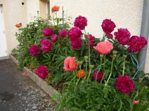 Maisons de vacances Gite avec terrasse privative et jardin fleuri a Saugues, tout inclus - FR-1-582-90 : photos des chambres