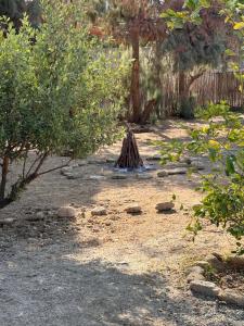 ALDEA DEL MAR by Villa del Sol