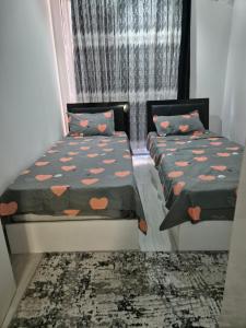 Pasha Apartment