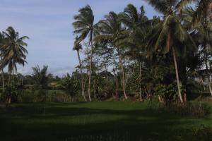 Homestay BanyuAsri Rejosari