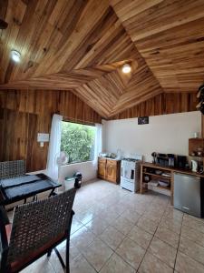 Monteverde Cecropia Paradise