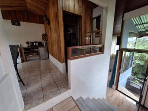 Monteverde Cecropia Paradise