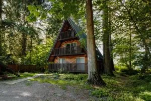 Spacious North Cascades Riverside A-Frame with Mt Baker Views - Dog-Friendly - Concrete