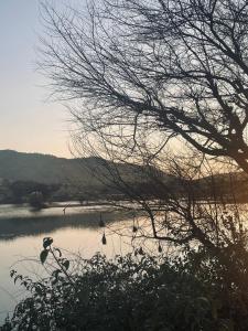 The Shire-Charming Farmstay