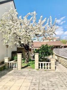 Villas 3 bedrooms house - garden - Parking, Antony Center near Paris and Orly : photos des chambres