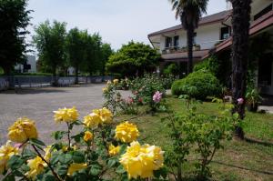 B&B Cà dArtisti
