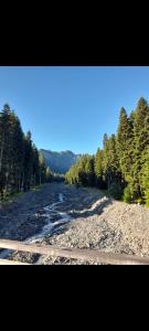 Guesthouse ''Kavkasioni''