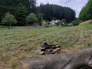 Only Meadow - place for camping