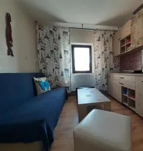Apartament Cristina cu doua dormitoare & balcon & parcare proprie - 奥内什蒂
