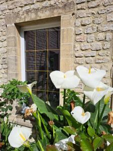 Maisons d'hotes la queue du chat : photos des chambres