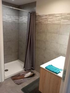Appartements Appartement 11 personnes : photos des chambres