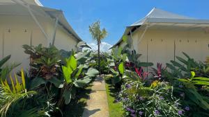 Glamping Canggu
