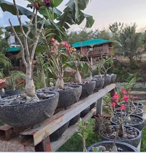 Baan Talae Eco Farm Resort & hotel