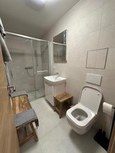 Angel Wings Mountain Apartment Černý Důl