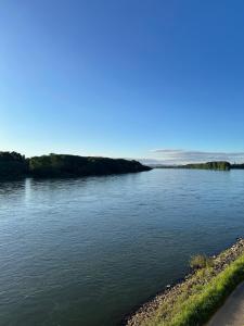 Rheinterrassen Hotel Café Restaurant