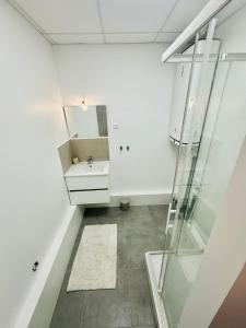 Modern Apartments Near Paris and Charles de Gaulle Airport