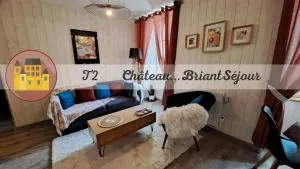 T2 bis-Appart2-centre ville - 沙托布里昂