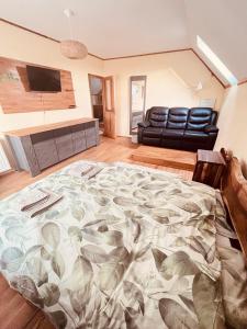 Natural Retreat Apartment Sovata