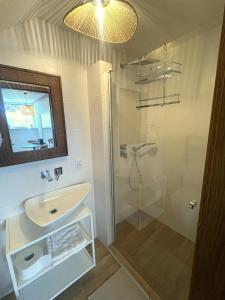 Noclegi pod Słonecznikiem