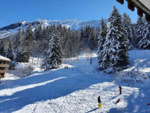 Appartements Le Cocon de la Marmotte : Appartement 1 Chambre