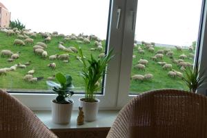 Ferienwohnung Faby
