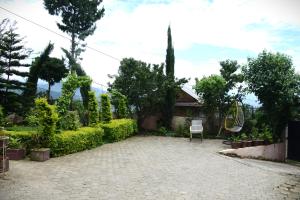 Beautiful house and garden