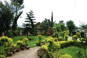 Beautiful house and garden