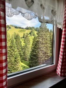 Apartma v objemu gora - Krvavec