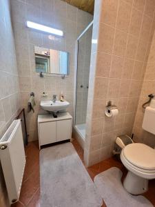 Apartma v objemu gora - Krvavec