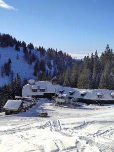 Apartma v objemu gora - Krvavec