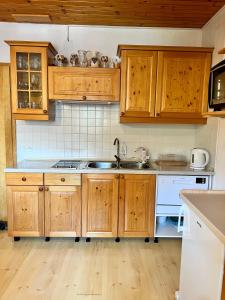 Apartma v objemu gora - Krvavec