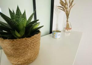 Chez Marcel Cabourg Appartement 2 pièces