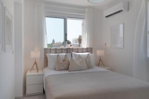 Phaedrus Living Terra Cotta City Flat