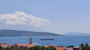 Studio Apartments Maslinik