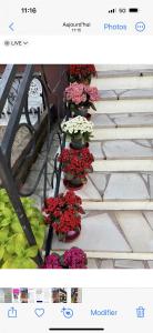 B&B / Chambres d'hotes Mimimamy : photos des chambres