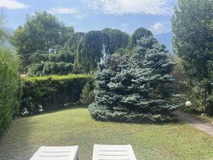 Villa Natura appartamento Open Space con giardino
