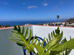 The Little Brezo Stone Home Tenerife