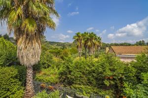 Appartamento Superior con 1 Camera da Letto e Balcone