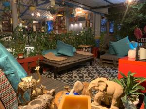 Wilderness Jungle Camp