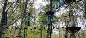 Appartements Escale du parc : photos des chambres