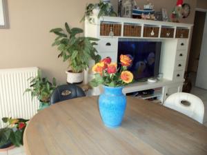 Appt juan les pins soleil mer