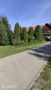 Pensiunea Emilia - سوسفيتا