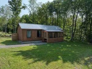 Vermont Scandinavian Chalet-Brévent - Lake Elmore