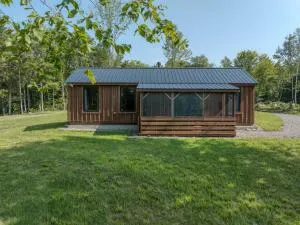 Vermont Scandinavian Chalet-Courchevel - Lake Elmore