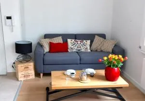 Grand studio parking-bord de Loire- hyper centre - 埃尔顿