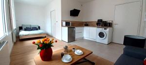 Grand studio parking-bord de Loire- hyper centre